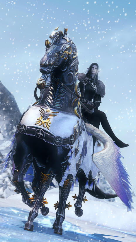 Sariel riding his faithful 6-legged steed Arion.