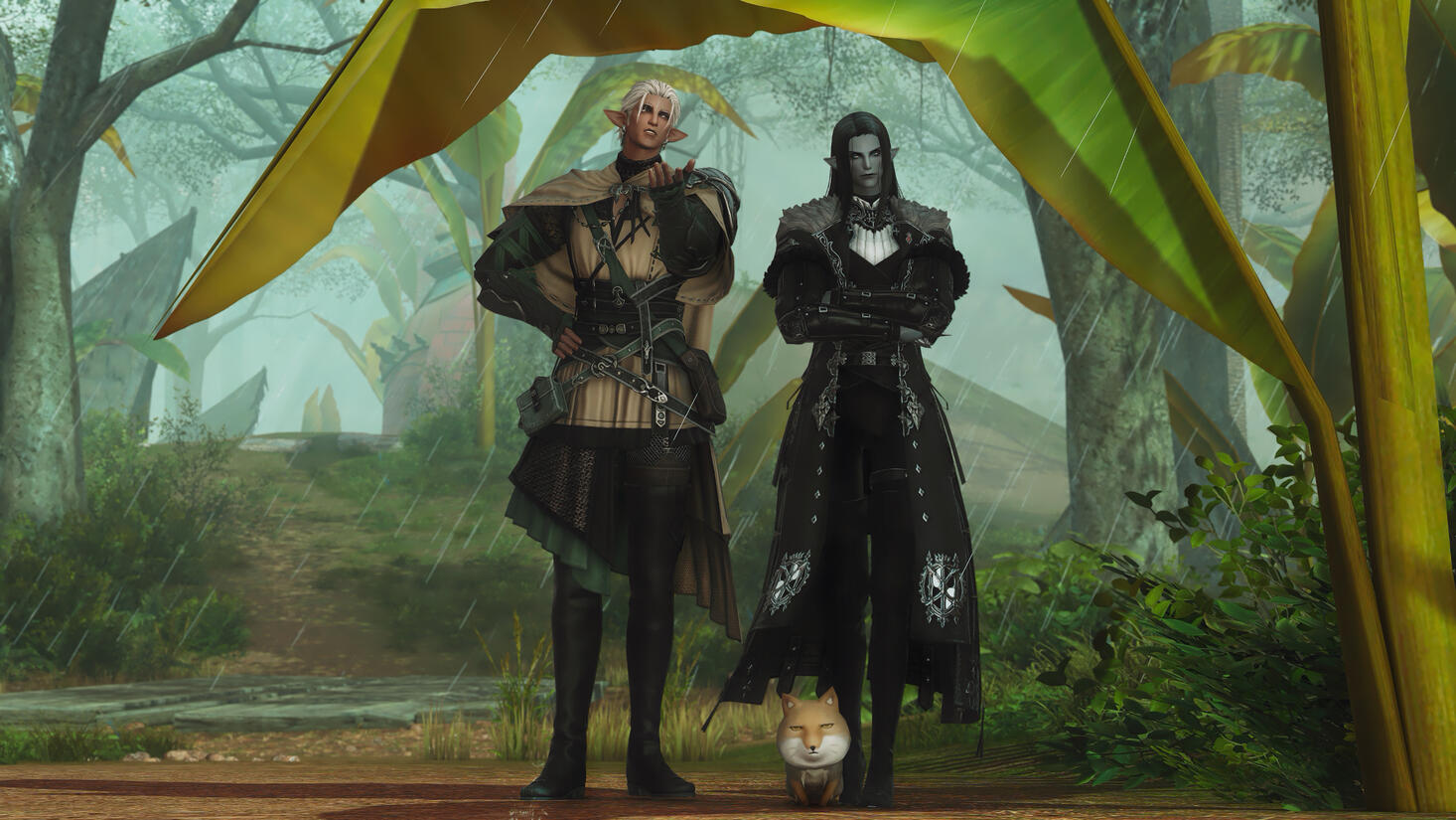Sariel and Trevellain standing under a large palm leaf, waiting for the pouring rain to calm down for even a moment. There is also a mysterious sand fox sitting near Sariel's legs.